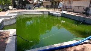 Pool Maintenance and Cleaning - Charlie's Pool Service