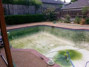 Pool Maintenance and Cleaning - Charlie's Pool Service