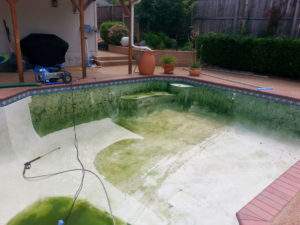 Pool Maintenance and Cleaning - Charlie's Pool Service