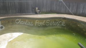 Pool Maintenance and Cleaning - Charlie's Pool Service
