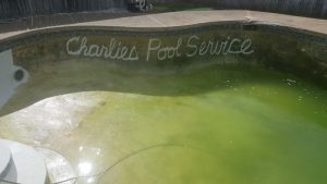 Pool Maintenance and Cleaning - Charlie's Pool Service